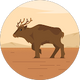 Victor Bravo